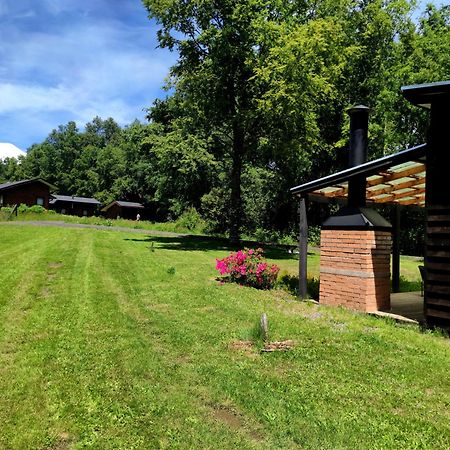 Cabanas Am Berg Pucón Dış mekan fotoğraf