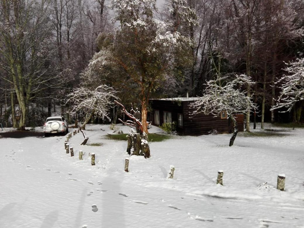 Cabanas Am Berg Pucón Dış mekan fotoğraf