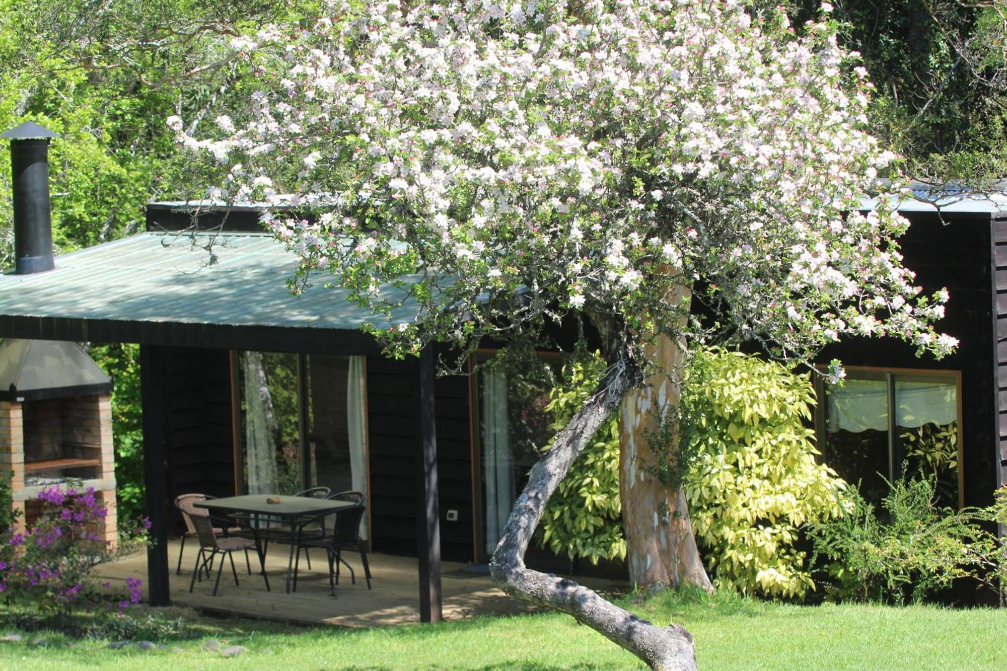 Cabanas Am Berg Pucón Dış mekan fotoğraf