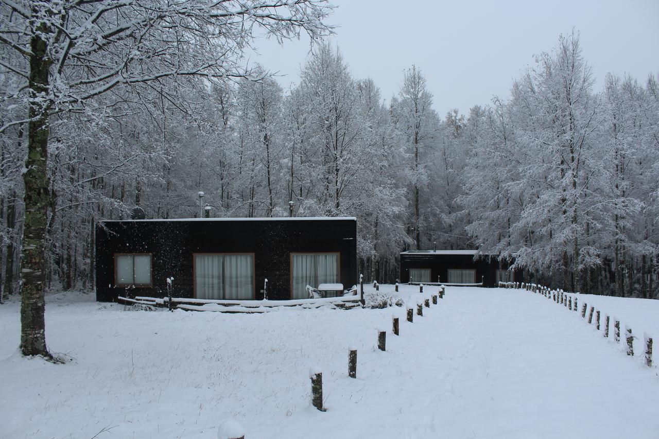 Cabanas Am Berg Pucón Dış mekan fotoğraf