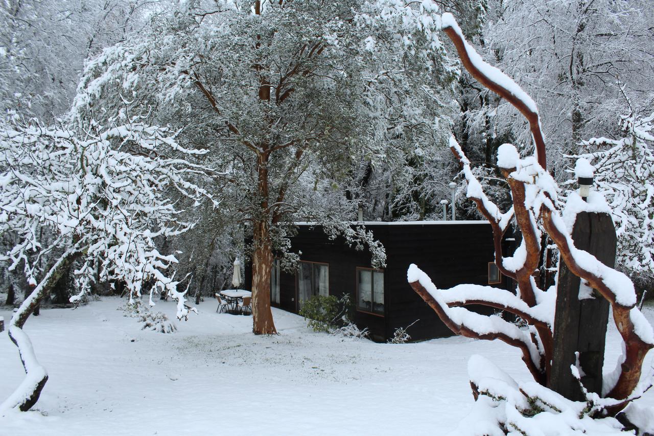 Cabanas Am Berg Pucón Dış mekan fotoğraf