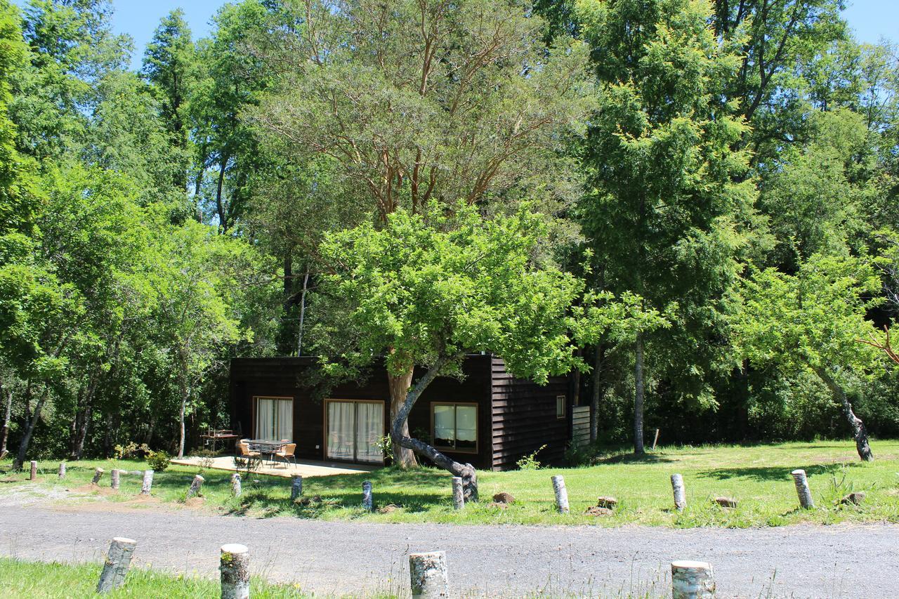 Cabanas Am Berg Pucón Dış mekan fotoğraf